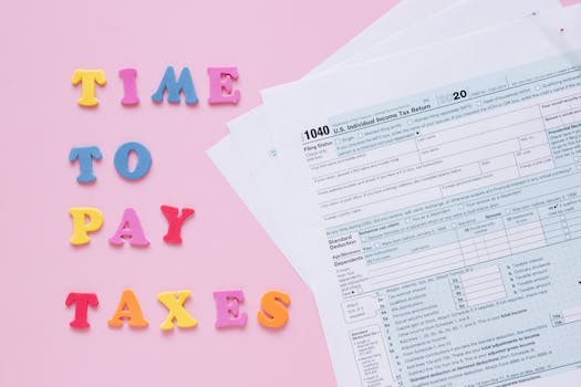 Základy Daňového Systému: Jak Správně a Efektivně Plnit Povinnosti